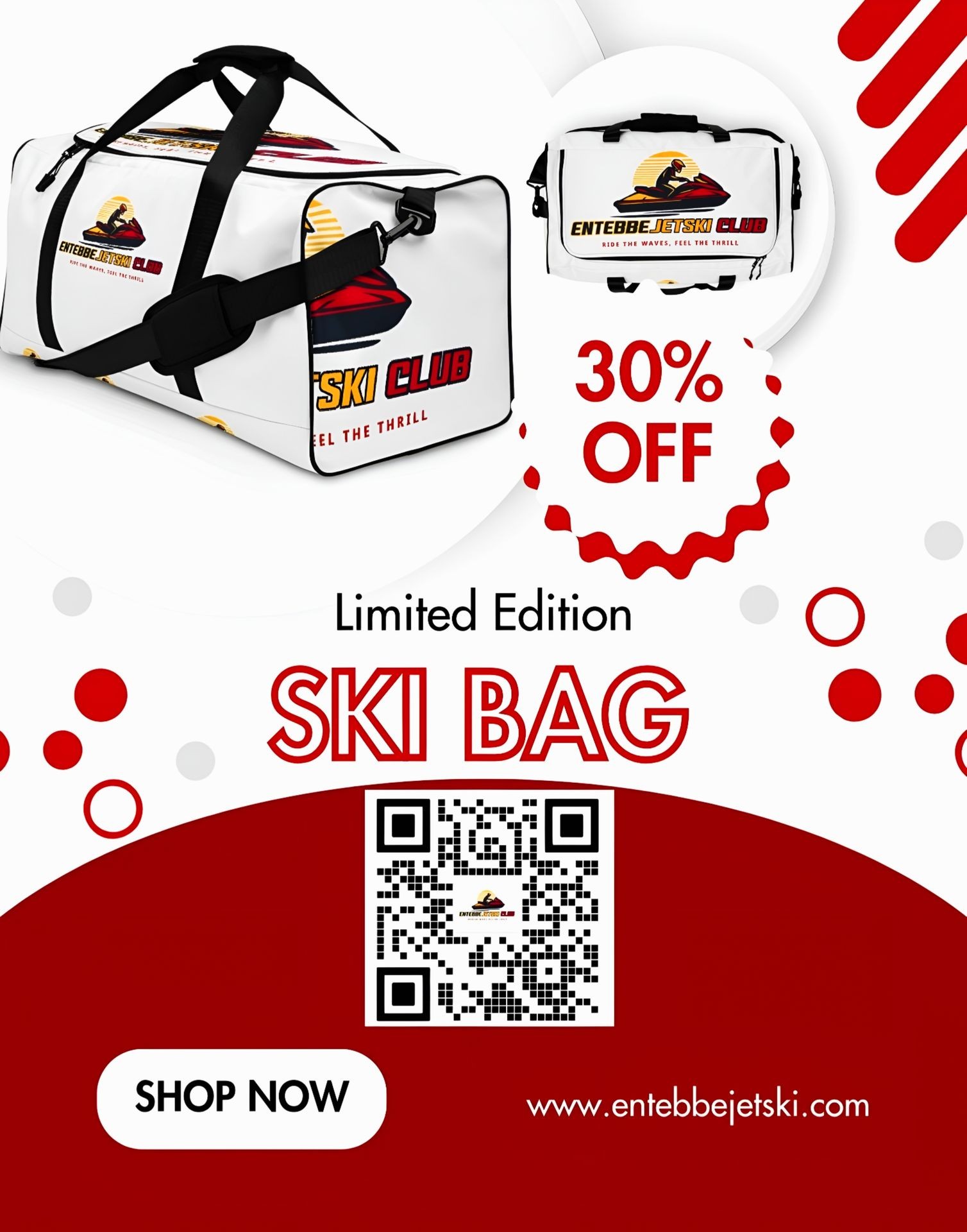 Ski Travel Bag